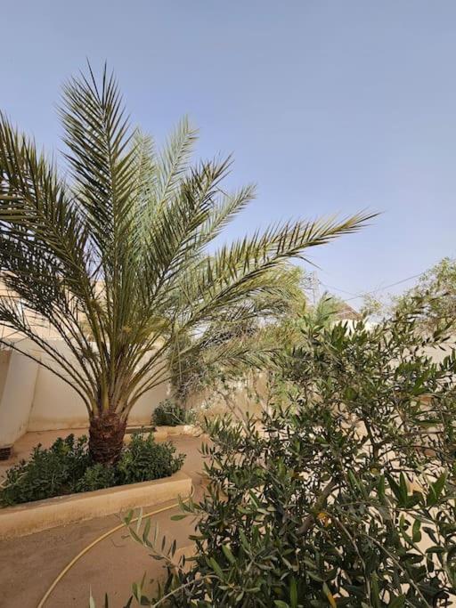 Hadhri Appartement Tozeur Kültér fotó