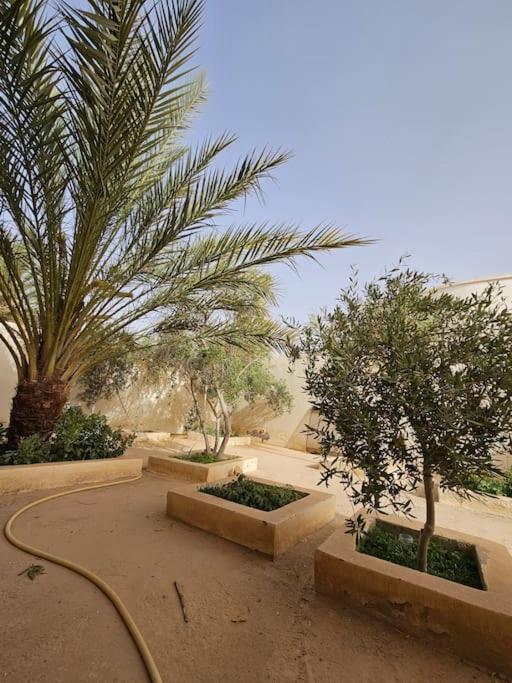 Hadhri Appartement Tozeur Kültér fotó
